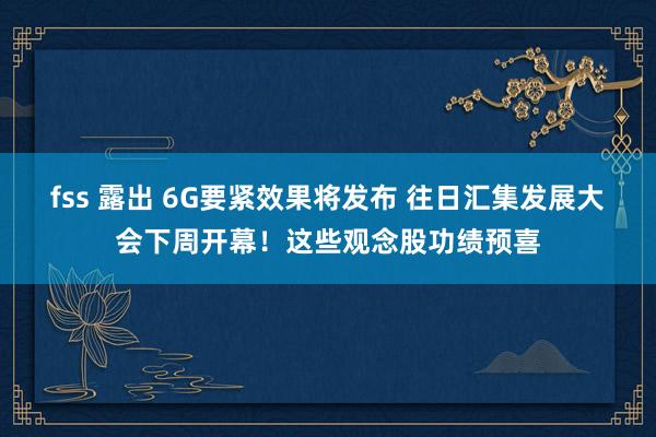 fss 露出 6G要紧效果将发布 往日汇集发展大会下周开幕！这些观念股功绩预喜
