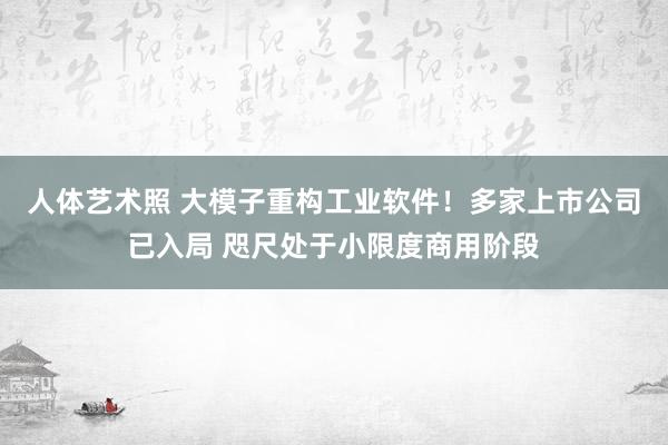 人体艺术照 大模子重构工业软件！多家上市公司已入局 咫尺处于小限度商用阶段