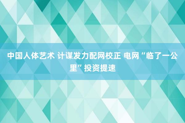 中国人体艺术 计谋发力配网校正 电网“临了一公里”投资提速