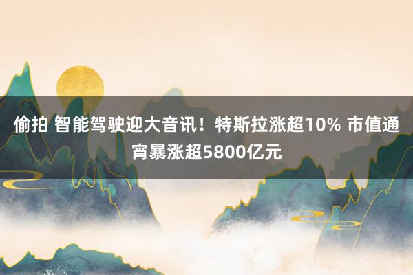偷拍 智能驾驶迎大音讯！特斯拉涨超10% 市值通宵暴涨超5800亿元