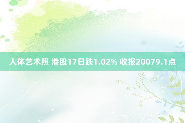 人体艺术照 港股17日跌1.02% 收报20079.1点