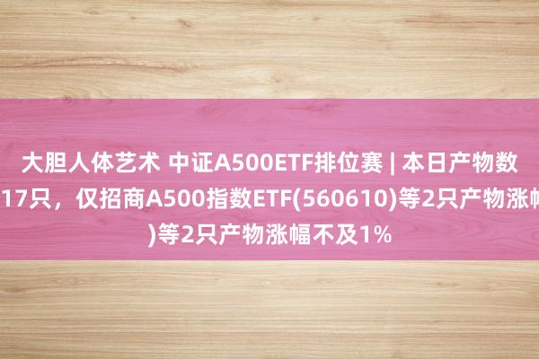 大胆人体艺术 中证A500ETF排位赛 | 本日产物数目扩容至17只，仅招商A500指数ETF(560610)等2只产物涨幅不及1%