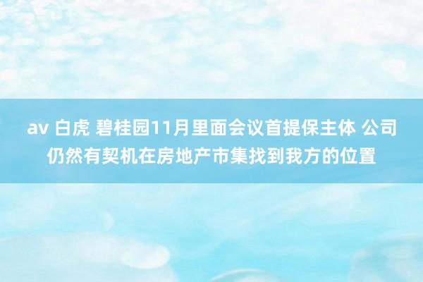 av 白虎 碧桂园11月里面会议首提保主体 公司仍然有契机在房地产市集找到我方的位置