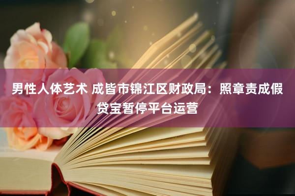 男性人体艺术 成皆市锦江区财政局：照章责成假贷宝暂停平台运营