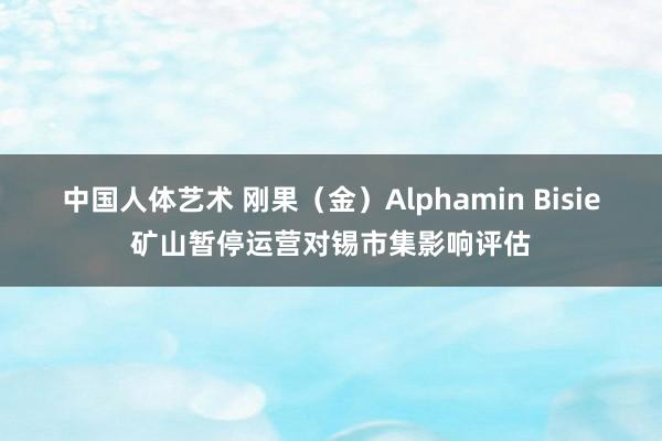 中国人体艺术 刚果（金）Alphamin Bisie矿山暂停运营对锡市集影响评估