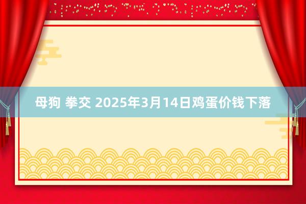 母狗 拳交 2025年3月14日鸡蛋价钱下落